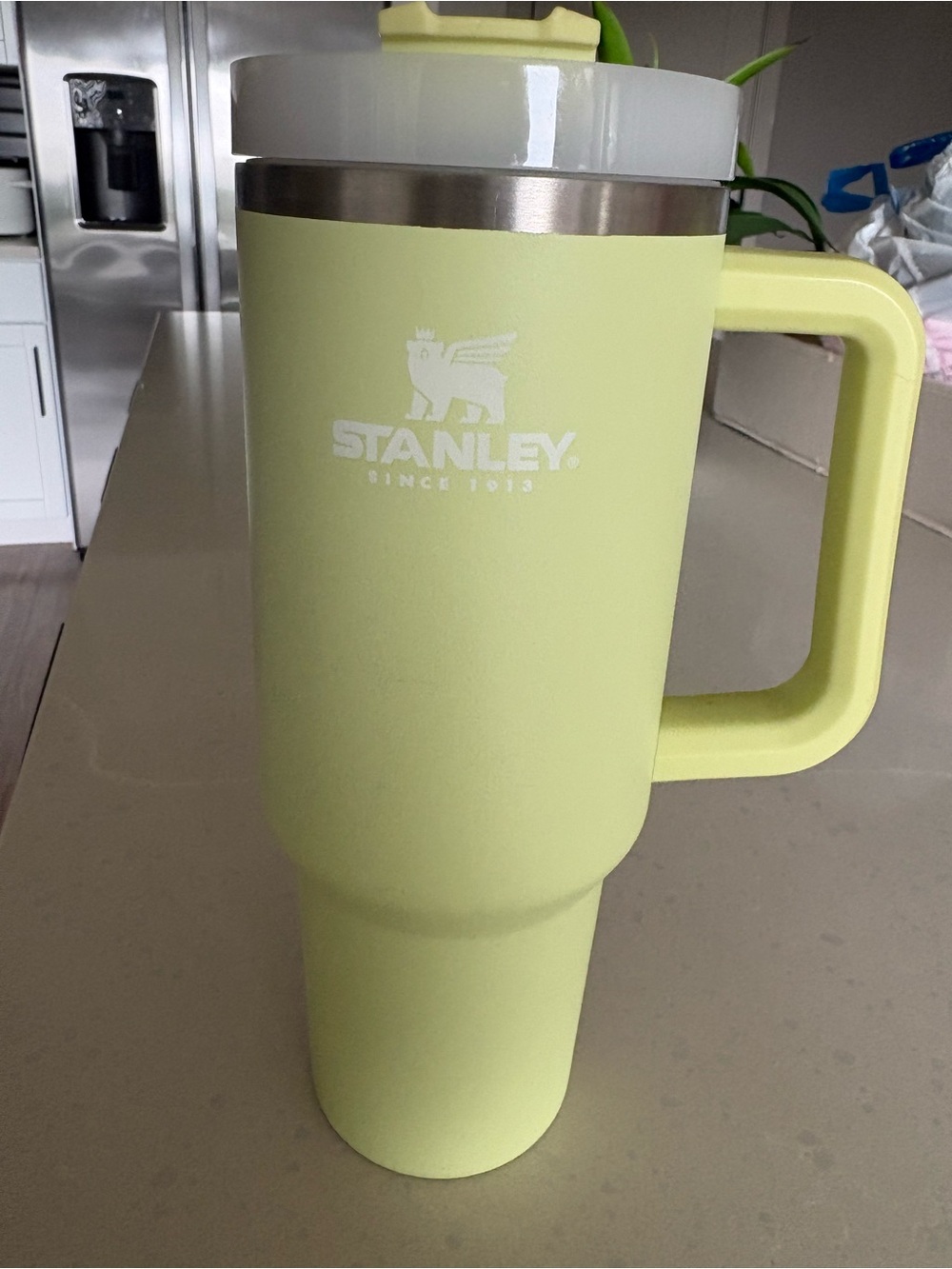 Stanley Travel Mug in Pale Lime Green with Handle 40 ounce